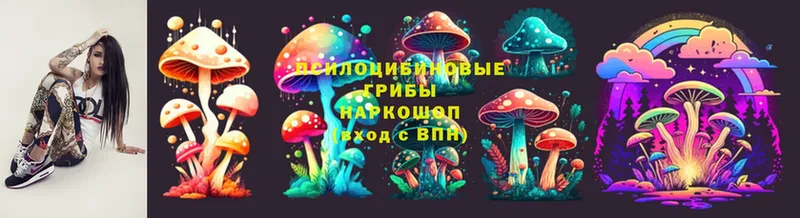 omg зеркало  Алзамай  Псилоцибиновые грибы Magic Shrooms  где продают наркотики 